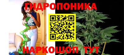 сатива Туймазы