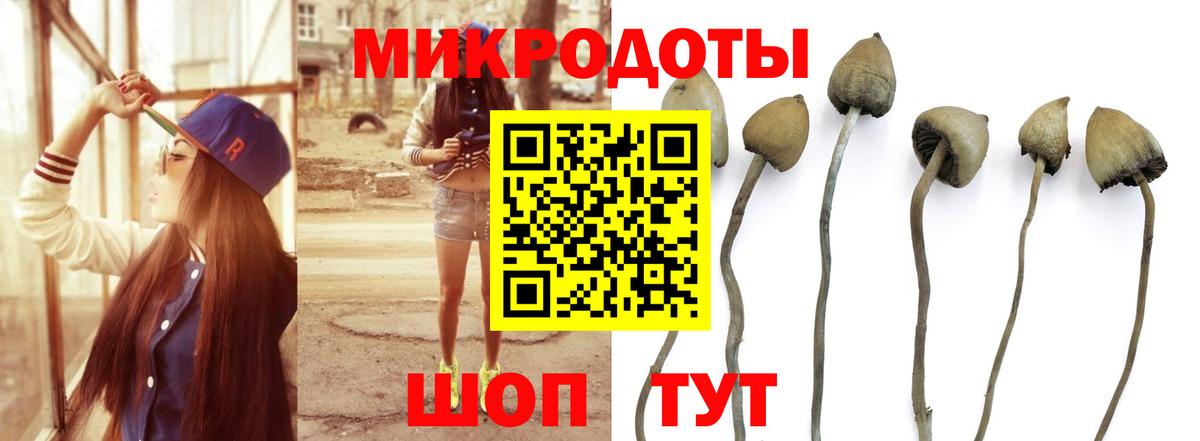 Галлюциногенные грибы мухоморы Минеральные Воды